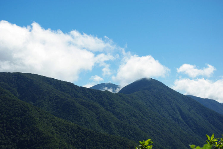 Голубые горы и горы Джона Кроу - достопримечательности Ямайки