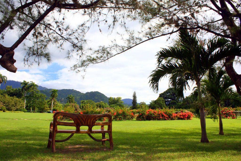 Королевский ботанический сад Ямайка